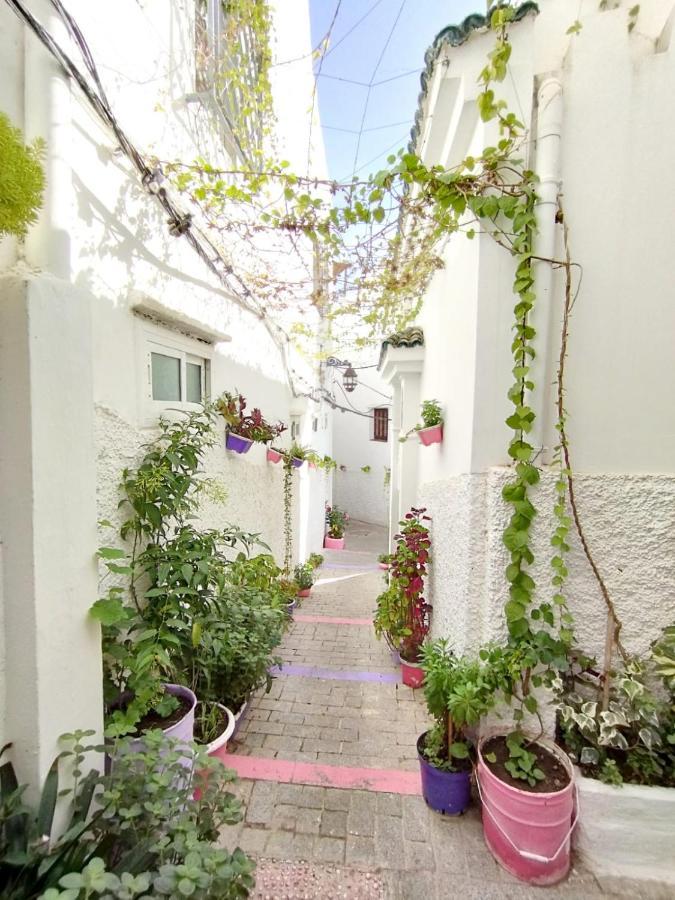 Maison Medina, Terrasse Panoramique, Vue Mer طنجة المظهر الخارجي الصورة