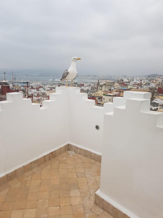Maison Medina, Terrasse Panoramique, Vue Mer طنجة المظهر الخارجي الصورة